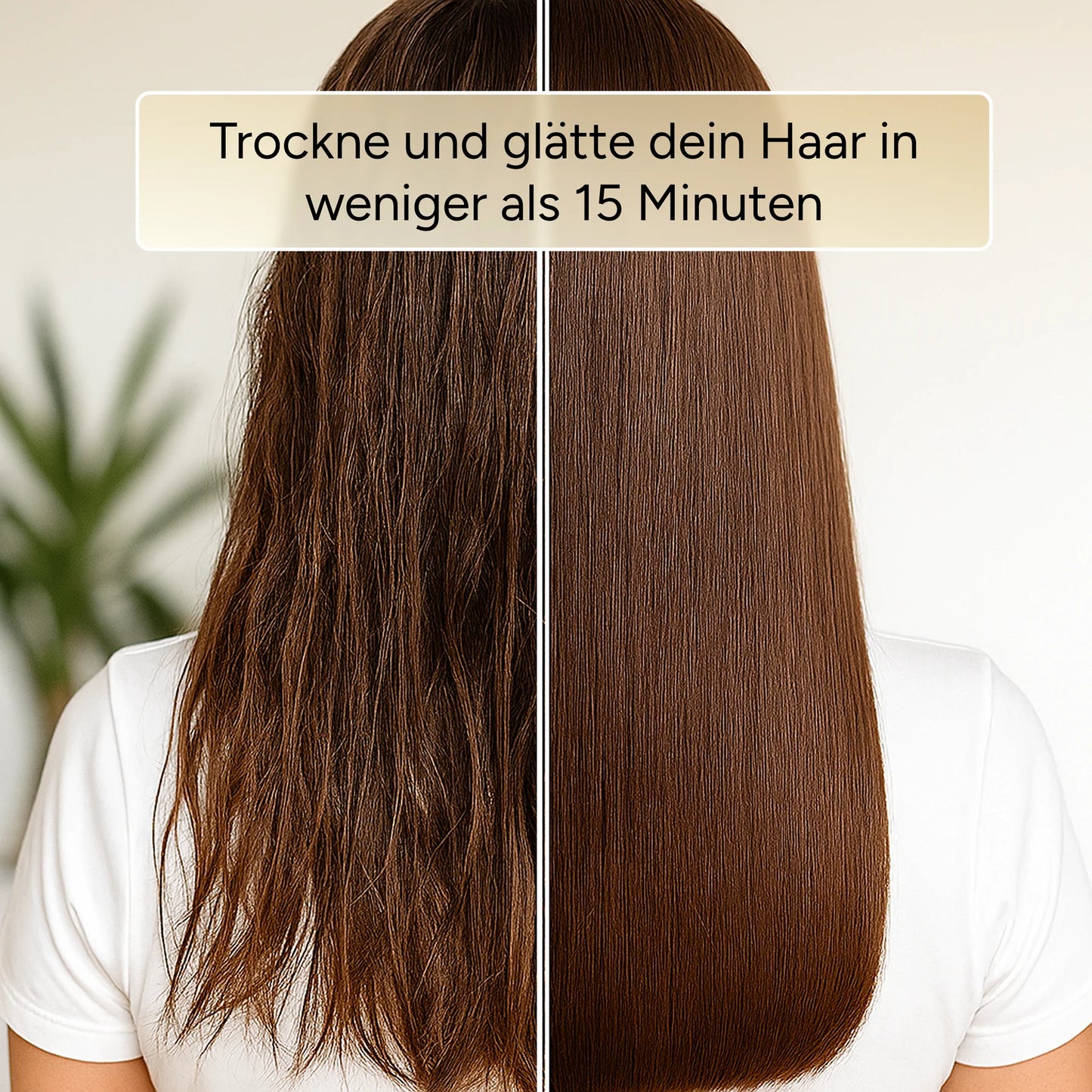 AirStraight 2in1 Glatt- und Föhnstyler
